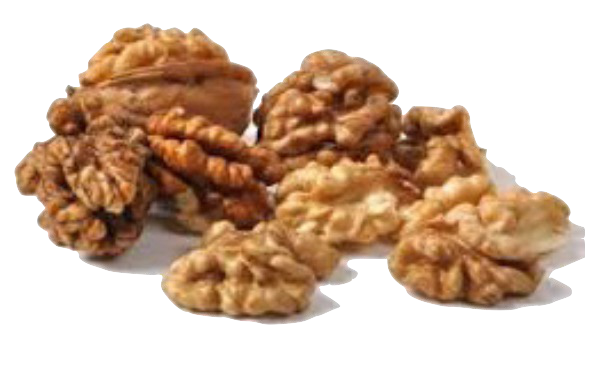 Walnut halves & pieces